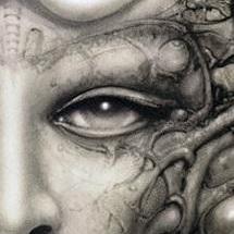 Sevyns Matt Schmalz Github - Sunset Photo Collection - High Resolution Quality