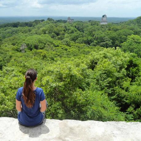 Jam7191 Jorge Armijo Github - Nature Images - Creative Ultra HD Collection