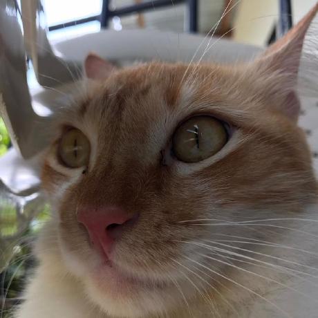 Francisco53 Francisco Github - Download Creative Nature Pattern | Retina