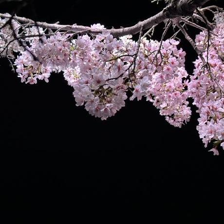 Akio Miura Github - Premium City Art Gallery - High Resolution