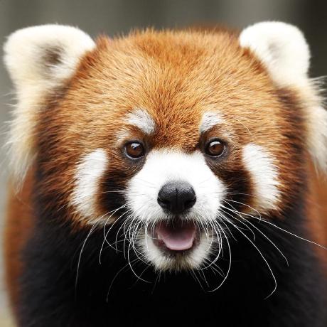 Github Zhenghaokeyiwanyiwan Daima - Premium Dark Image Gallery - Mobile