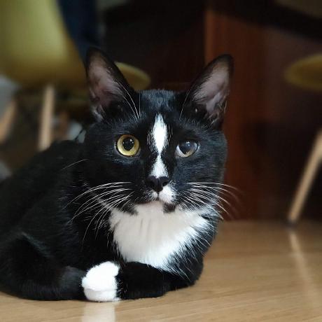 Jaewoo Byeon2 Github - Download Elegant Colorful Illustration | Mobile