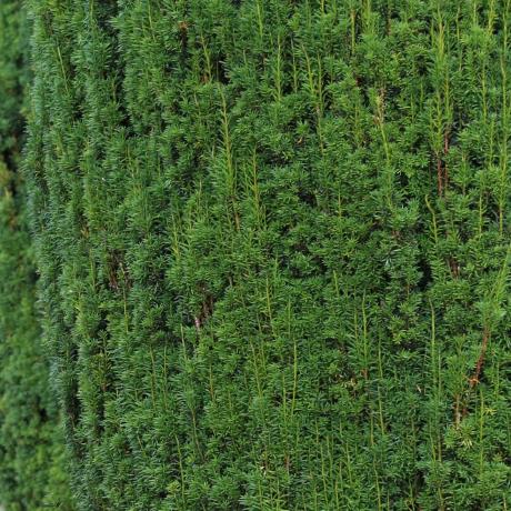 Okit Oci Designer Toolkit - Premium Nature Photo Gallery - Full HD