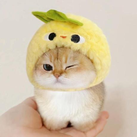 Themstrmnd Vladyslav Github - Sunset Pattern Collection - 8K Quality