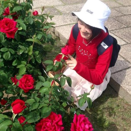 Tomokortn Tomoko Github - Premium High Resolution Abstract Images | Free Download