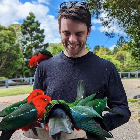 Kurtis Development Plan Github - 4K City Designs for Desktop