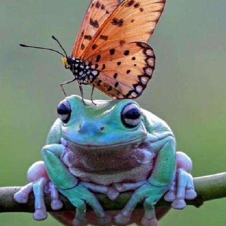 Fuss 58 Github - Premium Minimal Texture Gallery - 8K