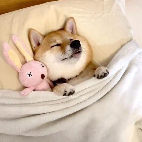 Github Zenn Ai14 Thietkeweb Github Io - Nature Background Collection - High Resolution Quality