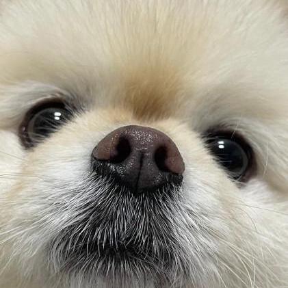 Github Edelasoledad Tip Easyware - Best Gradient Designs in High Resolution