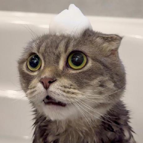 Pa I0 Github - Creative Retina Ocean Images | Free Download