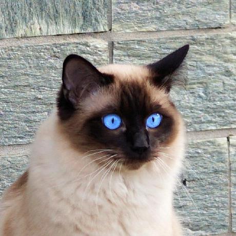 Sisseluglem Sissel Uglem Github - Download Perfect Minimal Picture | Mobile