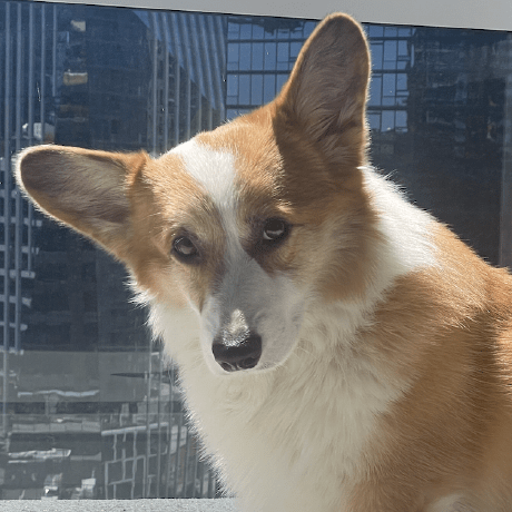 Github Meta Quest Meta Spatial Sdk Samples The Meta Spatial Sdk - Dark Images - Ultra HD 4K Collection