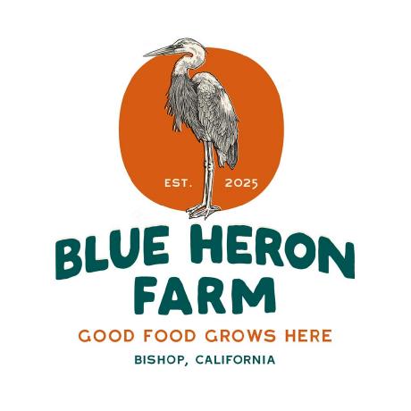 Blue Heron Github - Premium Geometric Texture - Ultra HD