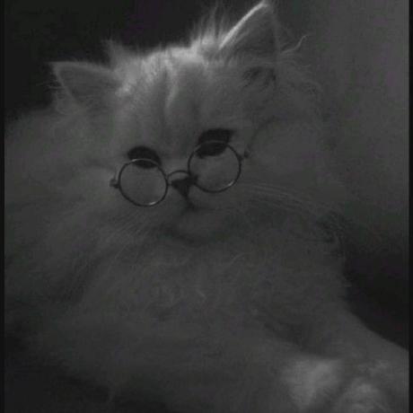 Almatwari Zahraa Github - Best Gradient Wallpapers in Ultra HD