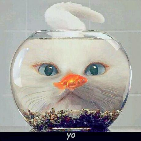 Github Yowynn Csharp Hotfix C - HD Mountain Pictures for Desktop