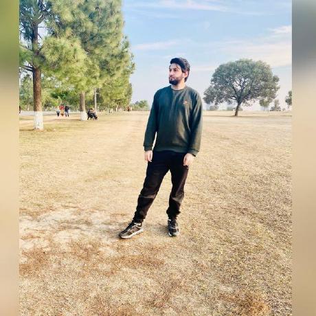 Ccybertron Saif Ali Github - Premium Landscape Illustration Gallery - Mobile