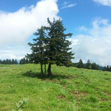 Python Pylontech Pylontech Pylontech Py At Master Frankkkkk Python - Gorgeous Vintage Texture - High Resolution