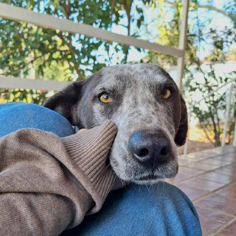 Github Juliana S7 Taller - City Textures - Ultra HD HD Collection