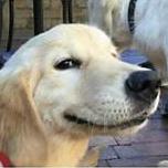 Michaelchada Michael Github