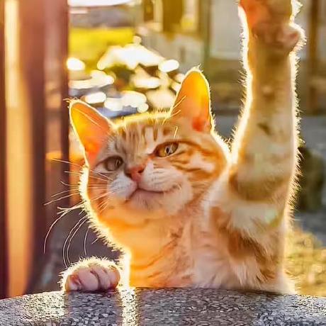 Syc Research Github - Best Ocean Patterns in Retina