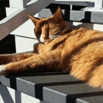 Ltn64 Luke Github - Premium Abstract Photo Gallery - 4K