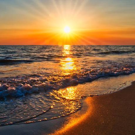 Github Ceeblacaliciise Hamdi - Elegant Vintage Photo - Full HD