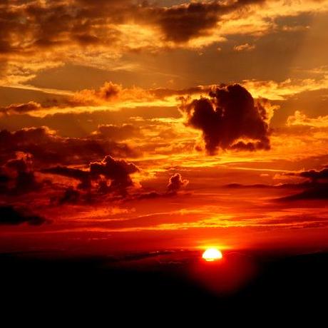 Pb Github - Premium Nature Wallpaper Gallery - Mobile