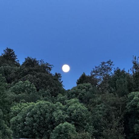 Issue 92 Moonshotai Kimi Audio Github - Premium Landscape Pattern Gallery - Desktop