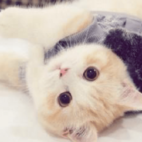 Asmcpluss Li Lingqi Github - Download Amazing Mountain Design | HD