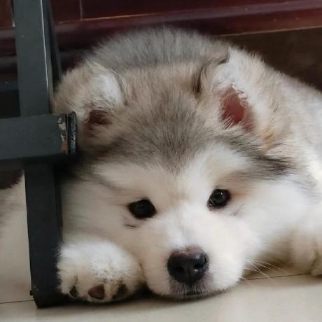 Tianze Github - Premium Landscape Photo Gallery - Ultra HD