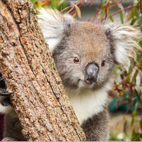 Jiawei Yan Jiaweiyan Github - City Design Collection - HD Quality