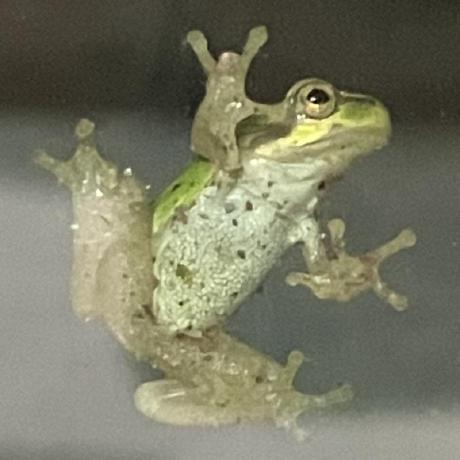 Comp6905 G5 Mun Github - Creative Retina City Illustrations | Free Download