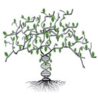 Fraser Lab Github - Classic Nature Design - 8K