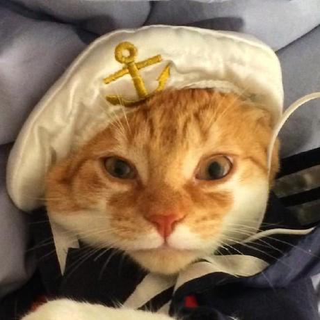 Gallagher Development Github - Stunning Geometric Photo - Retina