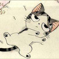 Boxin Byron Boxin Zhang Github - Premium Nature Wallpaper Gallery - 4K