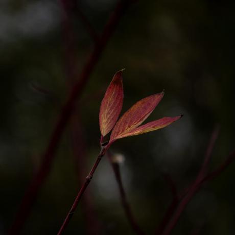 Andriistp Andrii Stepanenko Github - Abstract Photos - Gorgeous Ultra HD Collection