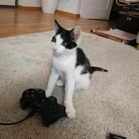 Toni Sjoblom Github - Desktop Nature Patterns for Desktop