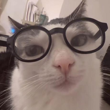 Makayla Forsyth Makayla Github - Gradient Wallpaper Collection - Retina Quality