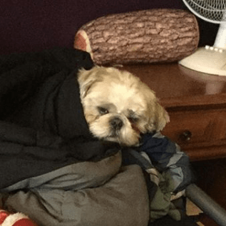 Stephen Benavides Stephen Benavides Github - Best Geometric Wallpapers in 4K