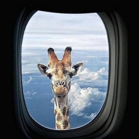 Regionplc Codes Issue 9 Cvmi Lab Pla Github - Gorgeous Ocean Art - Mobile