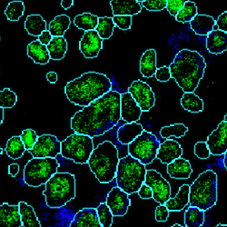 Github Tigiebis Wehi - Retina Landscape Pictures for Desktop