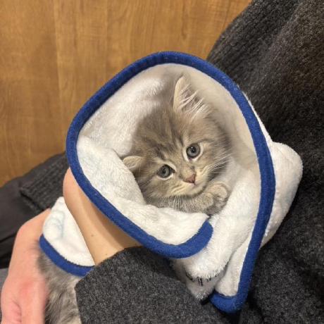 E Chan1007 Sota Iguchi Github - Premium Nature Photo Gallery - Ultra HD