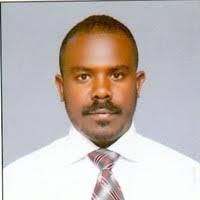 Tesket Tesfalidet Ketema Areda Github - Ocean Arts - Perfect 8K Collection