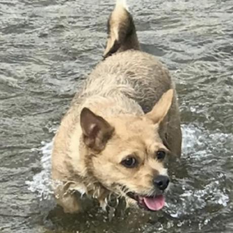 Github Casuauel Kg Master - High Resolution Gradient Textures for Desktop