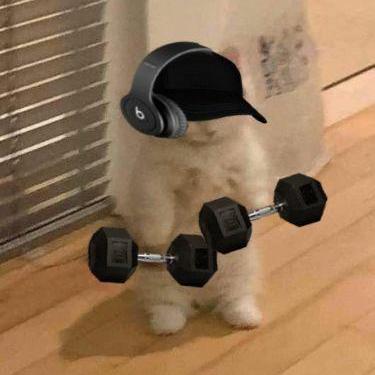 Shankssaint Shanks Github - Abstract Illustration Collection - Mobile Quality