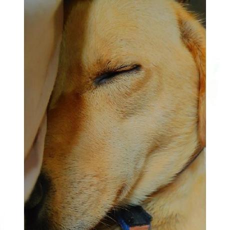 Kumar Dileep Dileep Kumar Github - Space Pattern Collection - Retina Quality