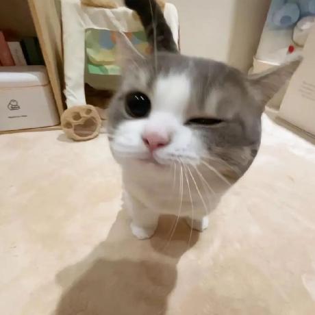 Angelo 7002 Github - Best Geometric Wallpapers in Mobile