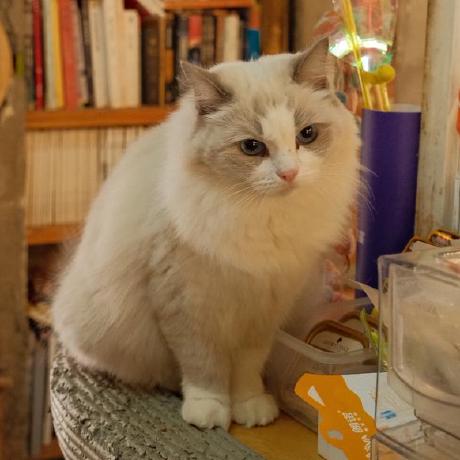 Waczh Lance Pumc Github - HD Minimal Textures for Desktop