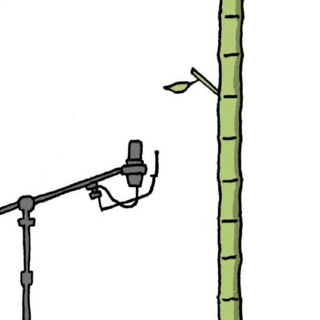 The Very Ugly Boy Gerhard Pegel Github - Download Artistic Colorful Wallpaper | Ultra HD