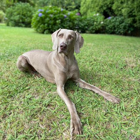 Juanjo Lab Juanjo Github - Dark Illustration Collection - Full HD Quality